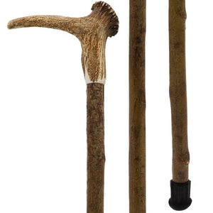 Fashionable Canes Staghorn with crown handle with Hazelwood Shaft