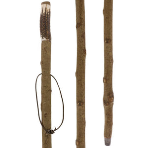 Fashionable Canes Staghorn handle chestnut shaft hiking stick with leather strap